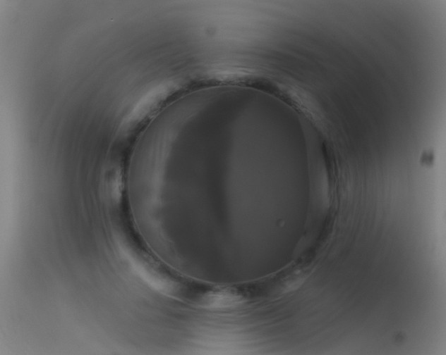 X0000114180644200910151702