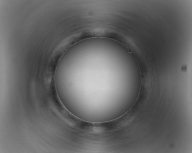 X0000114180645200910151702