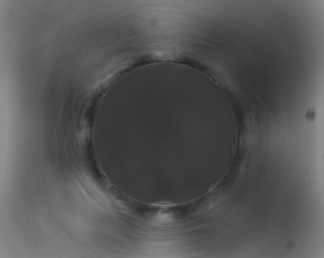 X0000114180647200910151702