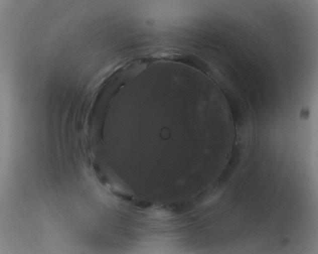 X0000114180648200910151702