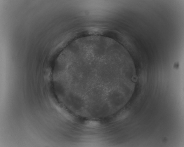 X0000114180649200910151702