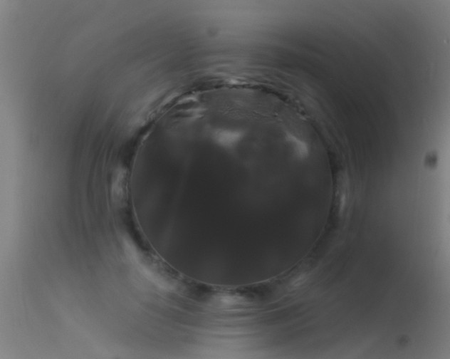 X0000114180650200910151702