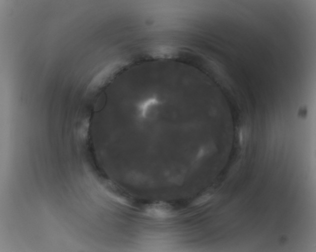 X0000114180652200910151702