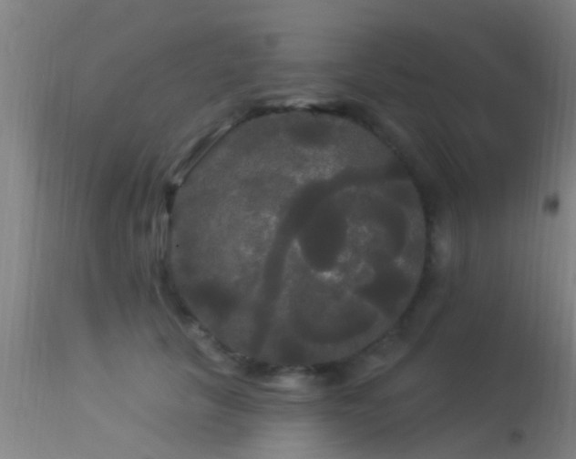 X0000114180657200910151702