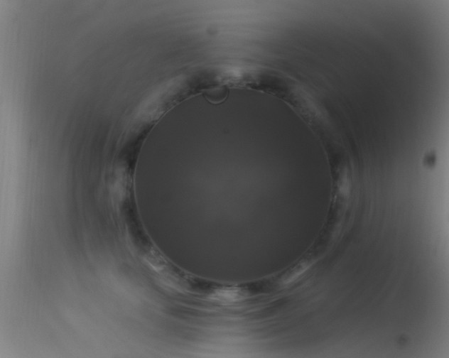 X0000114180659200910151702