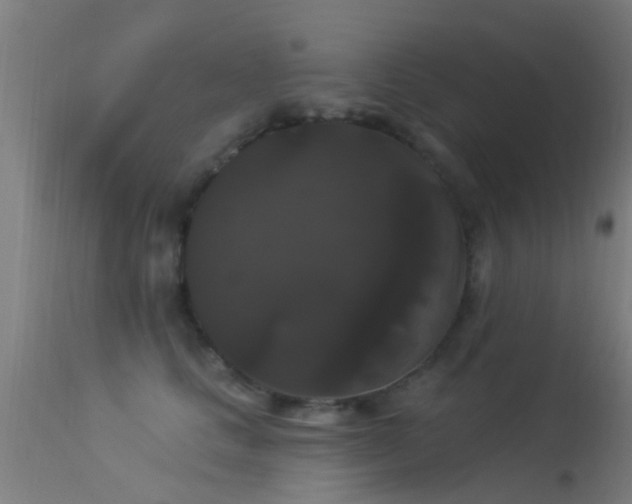 X0000114180661200910151702