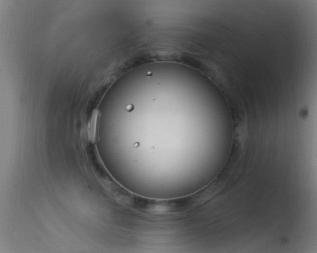 X0000114180662200910151702