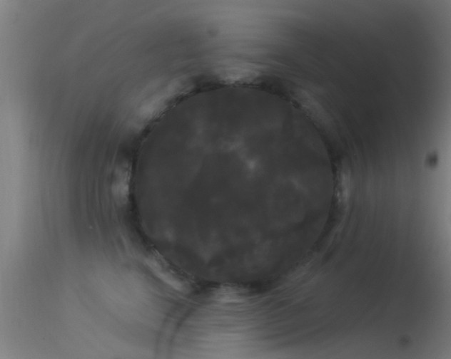 X0000114180664200910151702