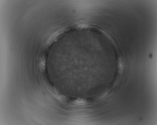 X0000114180668200910151703