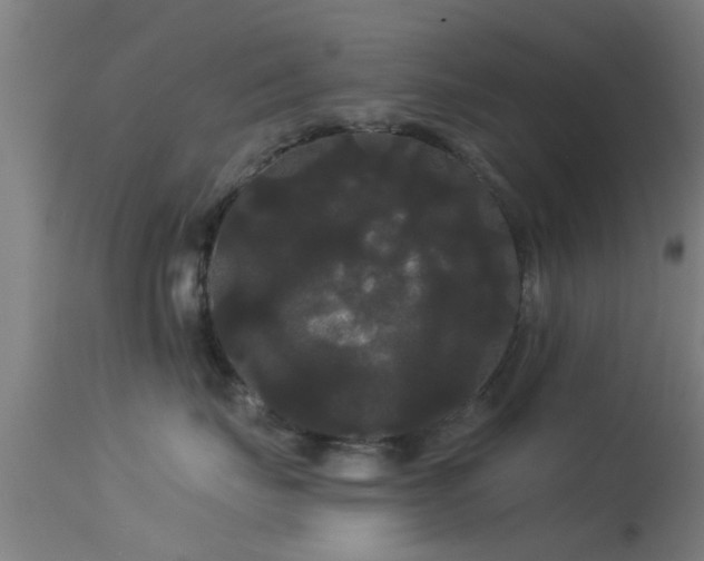 X0000114180671200910151703