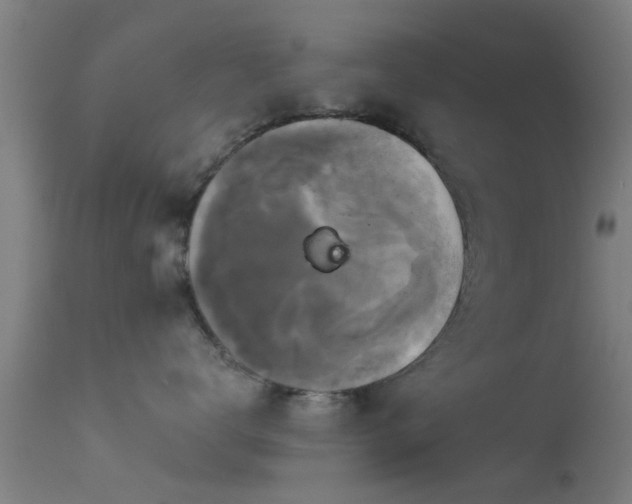 X0000114180672200910151703