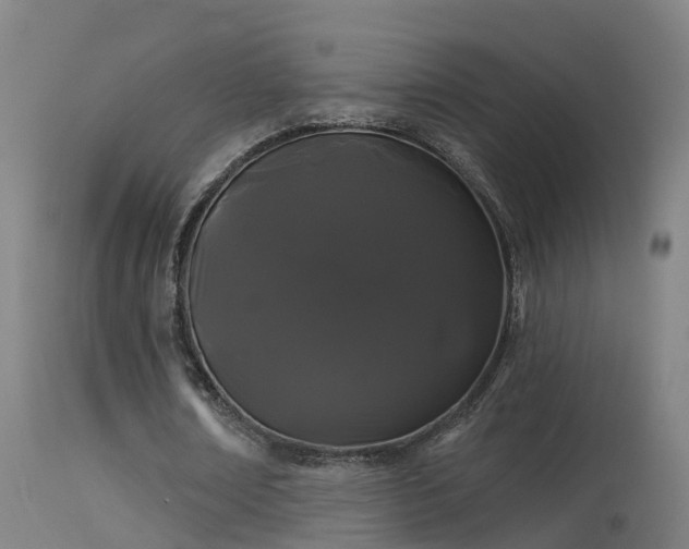 X0000114180674200910151702