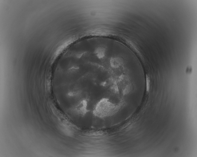 X0000114180675200910151702