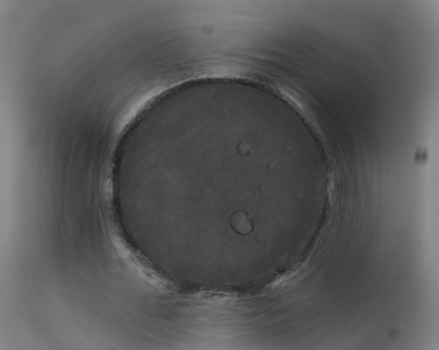 X0000114180676200910151702