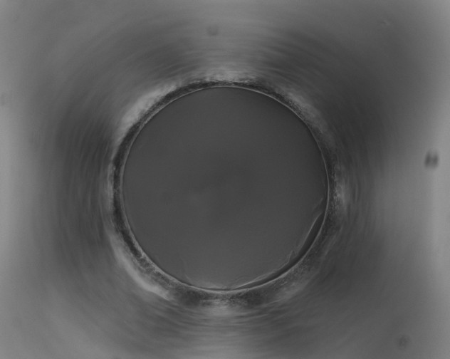 X0000114180678200910151702
