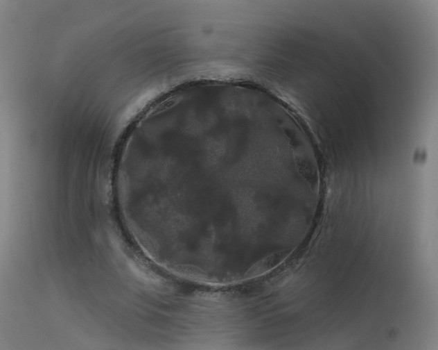 X0000114180679200910151702