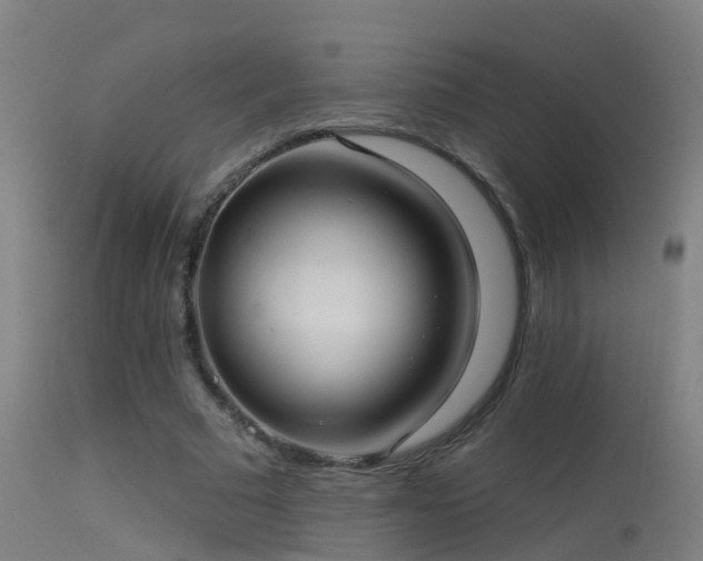 X0000114180681200910151702