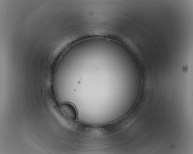 X0000114180683200910151702