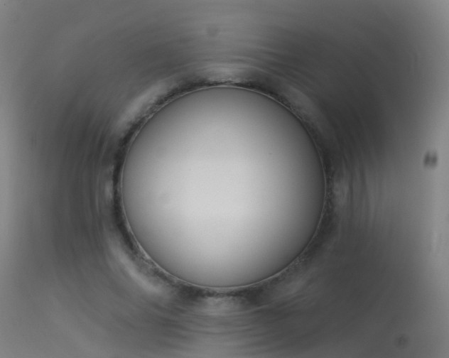 X0000114180686200910151702