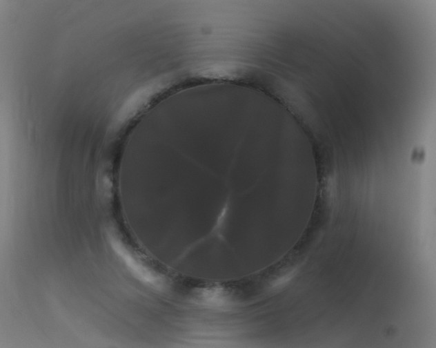 X0000114180688200910151702