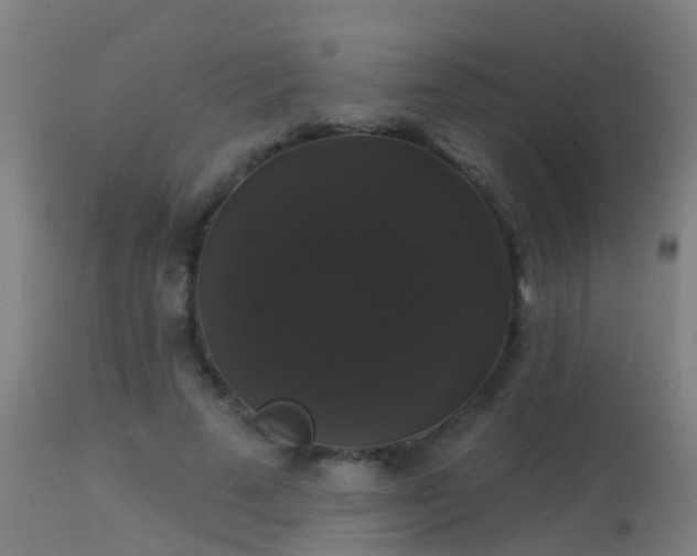 X0000114180689200910151702