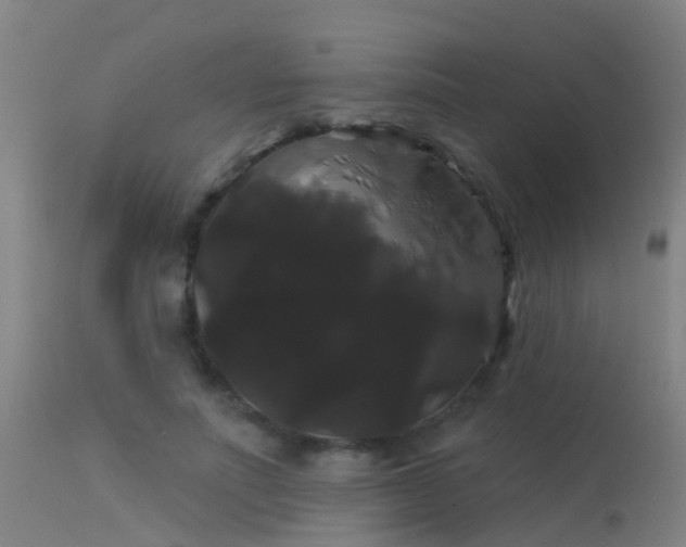 X0000114180691200910151702