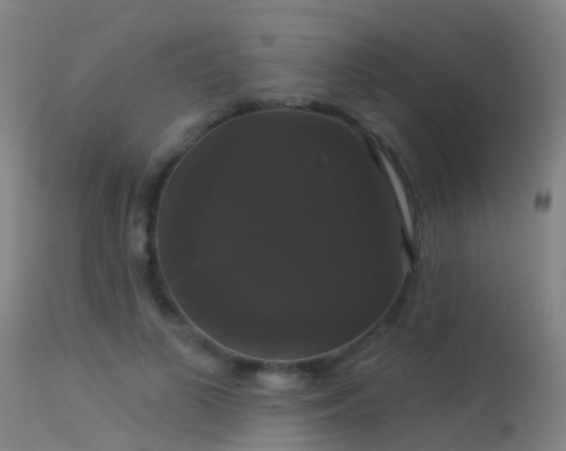 X0000114180693200910151702