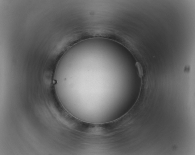 X0000114180695200910151701