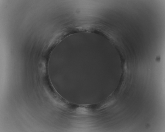 X0000114180699200910151701