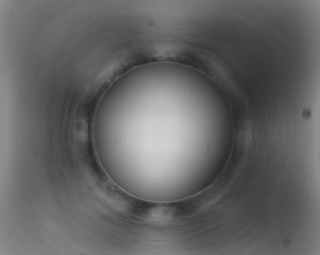 X0000114180700200910151701