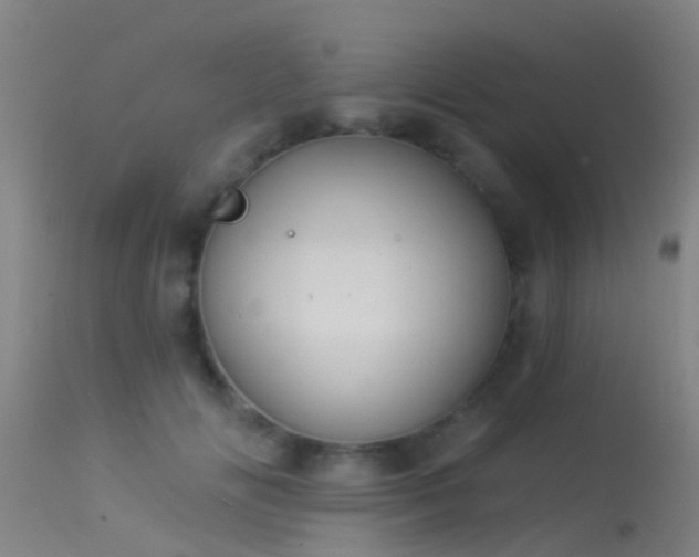 X0000114180702200910151701