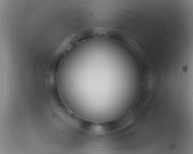 X0000114180706200910151701