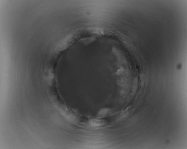 X0000114180707200910151701