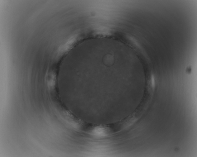 X0000114180708200910151701