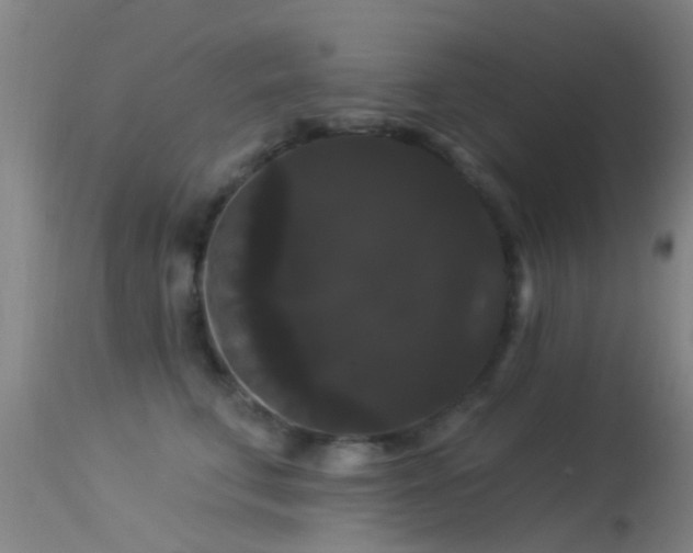 X0000114180711200910151701