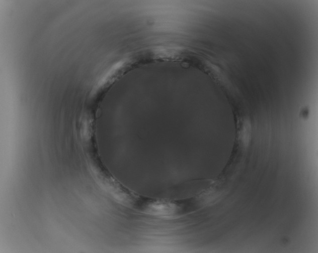 X0000114180712200910151701