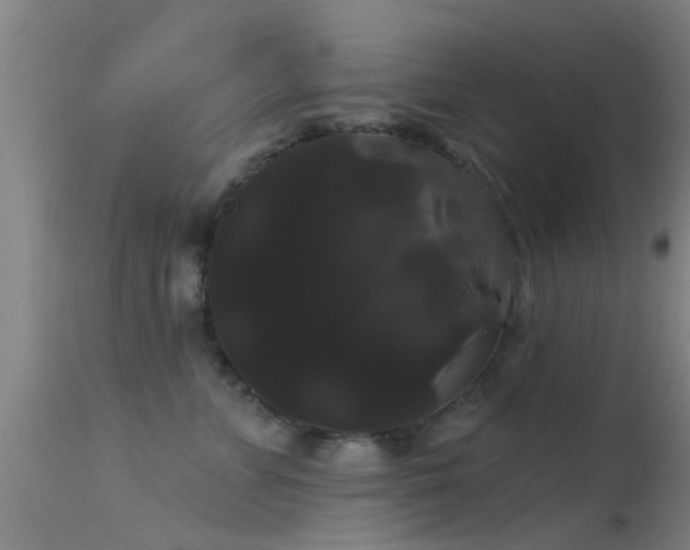 X0000114180715200910151701