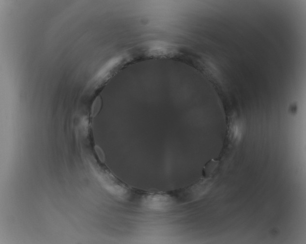 X0000114180716200910151701