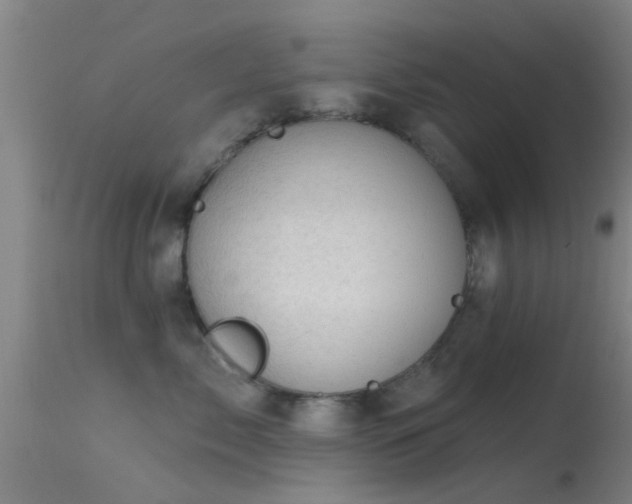 X0000114180717200910151701
