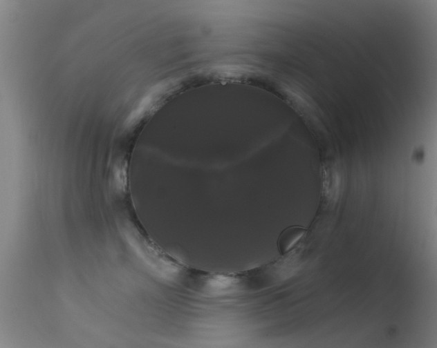 X0000114180718200910151701