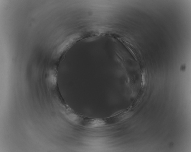 X0000114180719200910151701