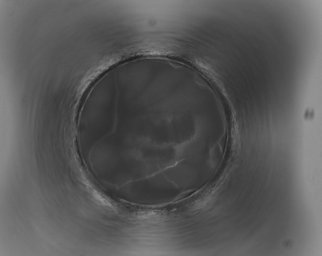 X0000114180721200910151700