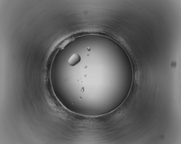 X0000114180724200910151700