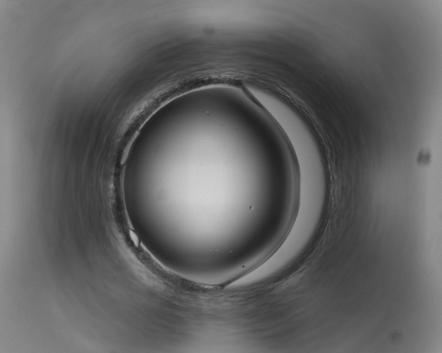 X0000114180725200910151700