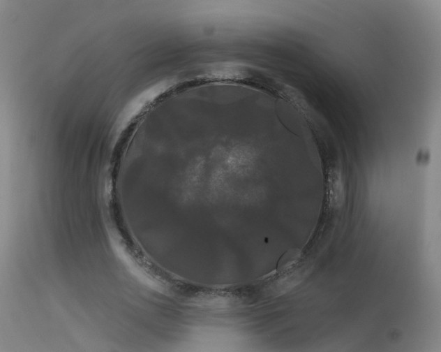 X0000114180726200910151700