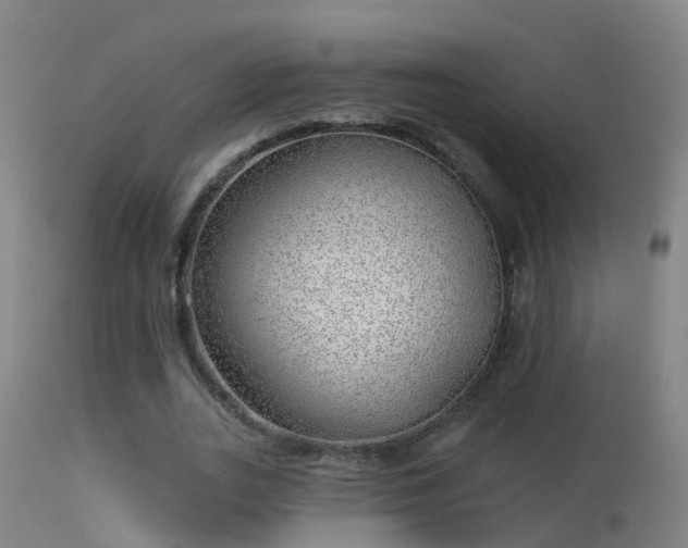 X0000114180727200910151700