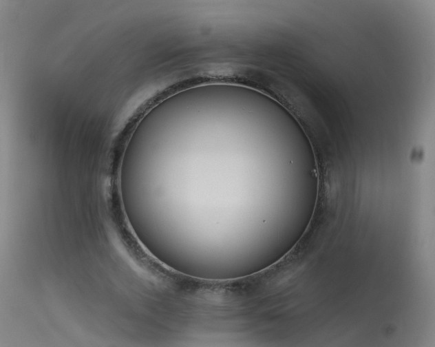 X0000114180728200910151700