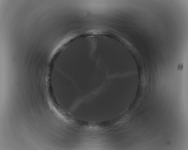X0000114180730200910151700