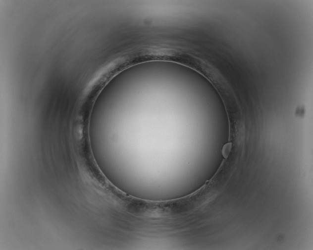 X0000114180731200910151700