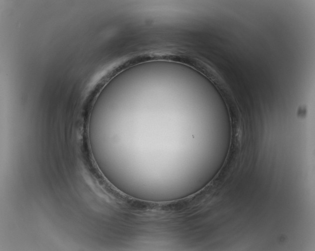 X0000114180732200910151700